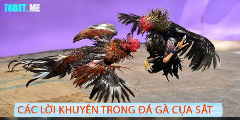 Đá Gà Cựa Sắt 78BET - Đỉnh Cao Chiến lược Trận Đấu Thú Vị