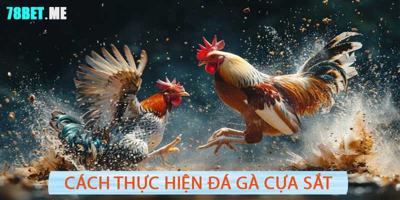 Đá Gà Cựa Sắt 78BET - Đỉnh Cao Chiến lược Trận Đấu Thú Vị