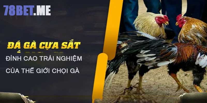 Đá Gà - 78bet