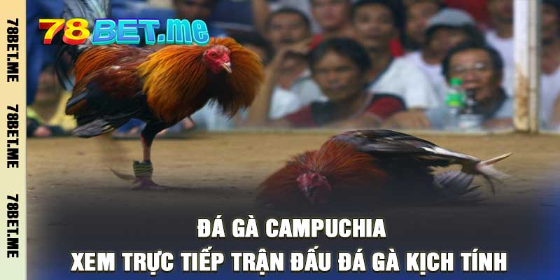 Đá Gà - 78bet